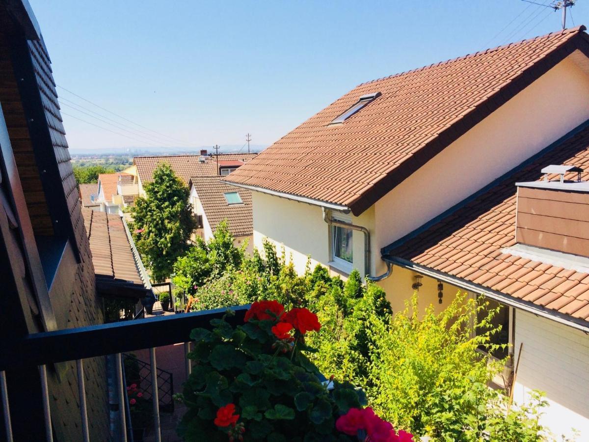 Gaestehaus Kerle ドッセンハイム エクステリア 写真